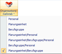 Organisationsmaßstab markiert.PNG