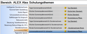 Bereich Summenansichten.png