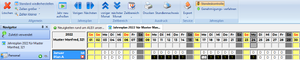 Jahresplan mit Standeskontrolle WEB.png
