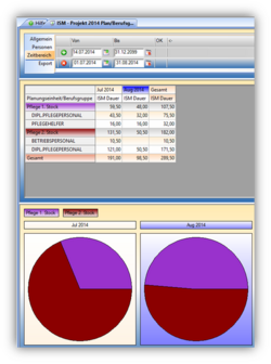 Budget SchmerzmanagementOhneBudget.png