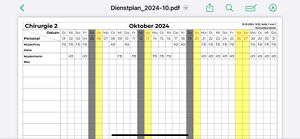 Personal Cockpit Dienstplan als PDF Ergebnis.jpg