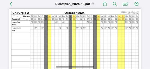 Personal Cockpit Dienstplan als PDF Ergebnis.jpg