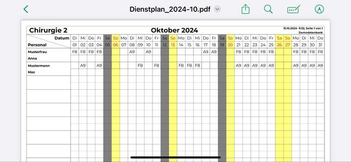 Personal Cockpit Dienstplan als PDF Ergebnis.jpg