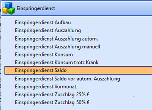 Einspringerdienst Konten.png