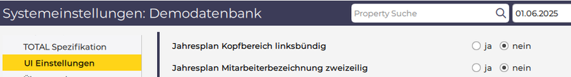 Datei:Jahresplan für einen Mitarbeiter auf einer Seite 1750766695409.png