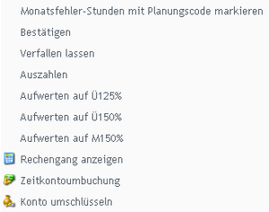 Mehrzeitmarkierung MonatDRZ Menue Web.PNG