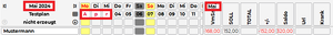Dienstplaner QML Summenansicht mehrmonatig.png