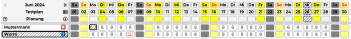 Bildschirmeinstellungen QML Dienstplan.png