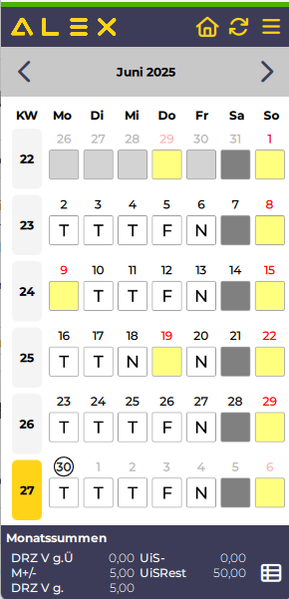 Datei:Personal Cockpit Monatsansicht.png